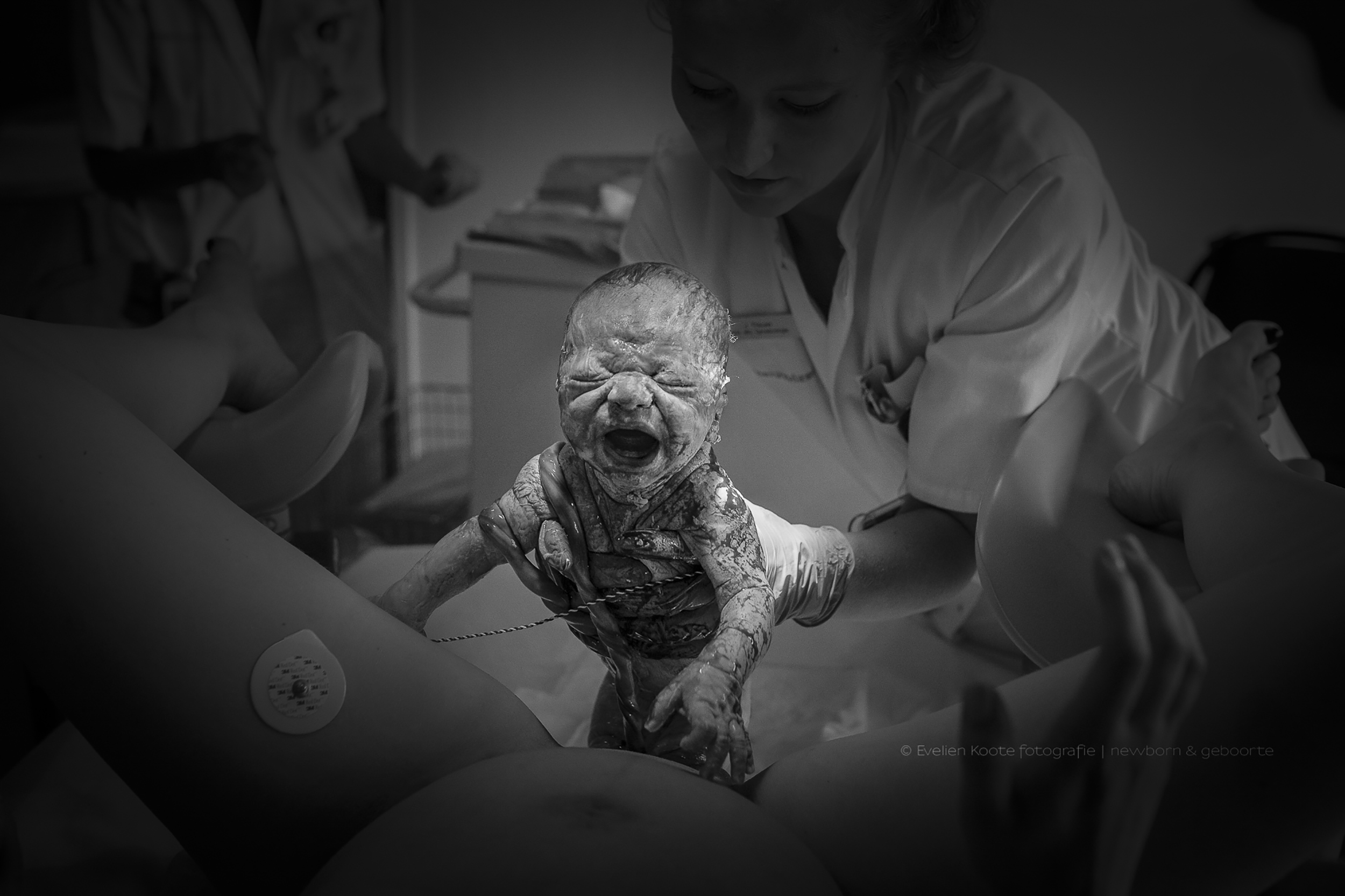 RROVE Hundekostüm-Set Studiofotografie Neugeborene Fotografie Requisiten Schönes Hundekostüm-Set Strickstudiofotografie 